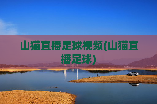 山猫直播足球视频(山猫直播足球)