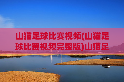 山猫足球比赛视频(山猫足球比赛视频完整版)山猫足球比赛完整版视频