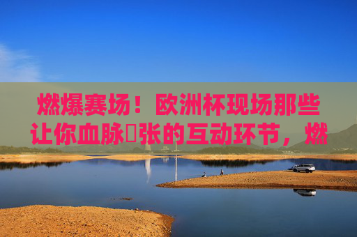 燃爆赛场!欧洲杯现场那些让你血脉偁张的互动环节,燃爆!欧洲杯现场互动血脉偁张瞬间