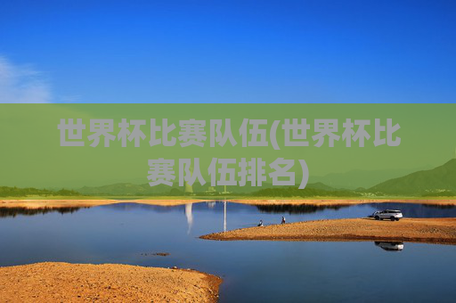 世界杯比赛队伍(世界杯比赛队伍排名)