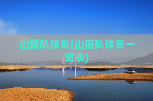 山猫队球员(山猫队球员一览表)