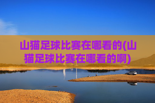山猫足球比赛在哪看的(山猫足球比赛在哪看的啊)