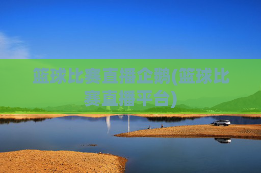 篮球比赛直播企鹅(篮球比赛直播平台)