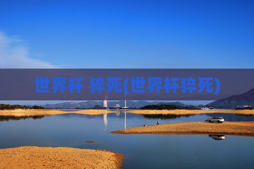 世界杯 猝死(世界杯猝死)