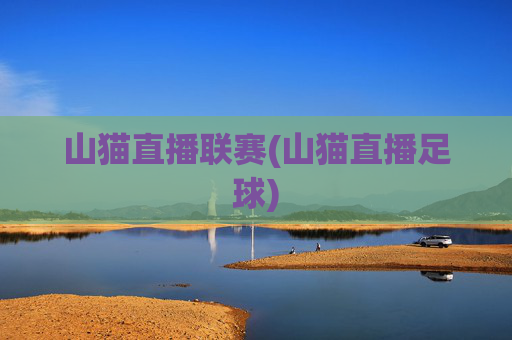 山猫直播联赛(山猫直播足球)