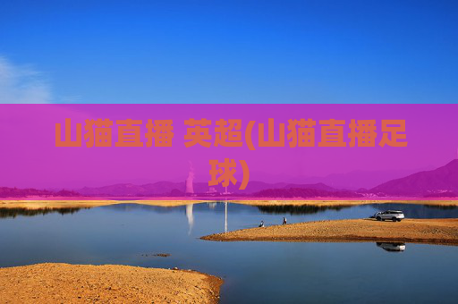 山猫直播 英超(山猫直播足球)