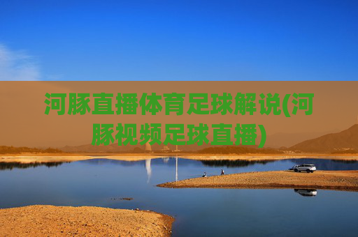 河豚直播体育足球解说(河豚视频足球直播)