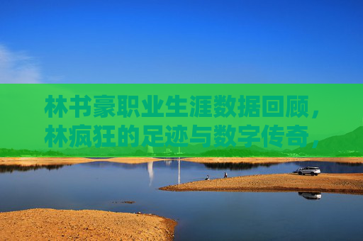 林书豪职业生涯数据回顾，林疯狂的足迹与数字传奇，林书豪，林疯狂的足迹与数字传奇
