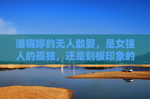 潘晓婷的无人敢娶,是女强人的孤独,还是刻板印象的误读?潘晓婷无人敢娶,女强人孤独还是刻板误读?