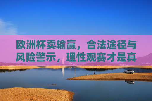 欧洲杯卖输赢,合法途径与风险警示,理性观赛才是真赢家,欧洲杯博彩,合法途径与风险警示,理性观赛方为赢家