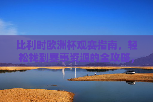 比利时欧洲杯观赛指南，轻松找到赛事资源的全攻略，比利时欧洲杯观赛全攻略，轻松获取赛事资源