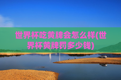 世界杯吃黄牌会怎么样(世界杯黄牌罚多少钱)