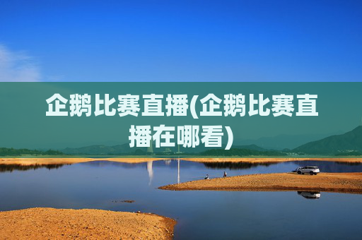 企鹅比赛直播(企鹅比赛直播在哪看)
