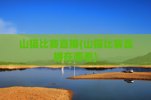 山猫比赛直播(山猫比赛直播在哪看)