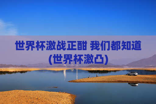 世界杯激战正酣 我们都知道(世界杯激凸)