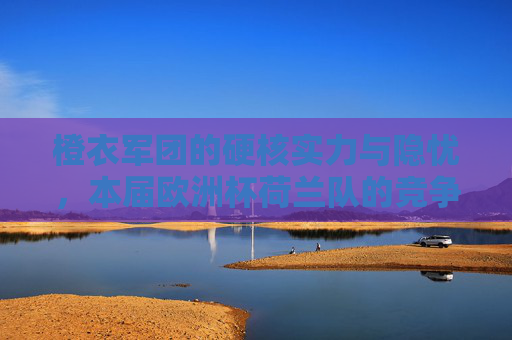橙衣军团的硬核实力与隐忧,本届欧洲杯荷兰队的竞争力解析,橙衣军团本届欧洲杯竞争力,硬核实力与隐忧