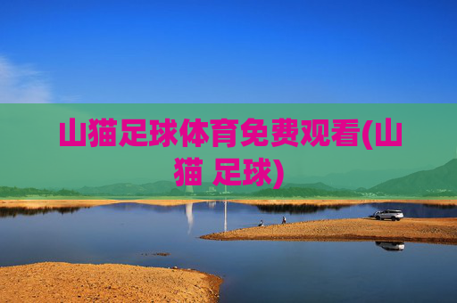 山猫足球体育免费观看(山猫 足球)