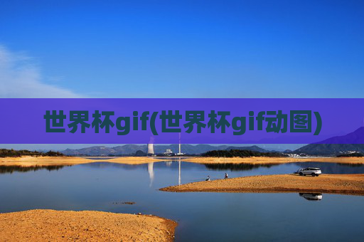 世界杯gif(世界杯gif动图)