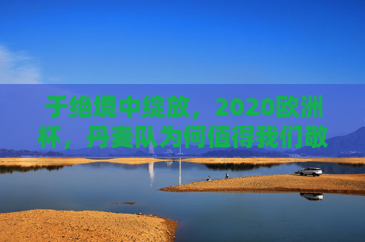 于绝境中绽放，2020欧洲杯，丹麦队为何值得我们敬佩？2020欧洲杯丹麦队，绝境绽放的敬佩力量