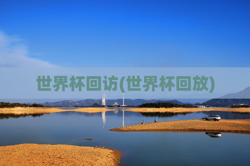 世界杯回访(世界杯回放)