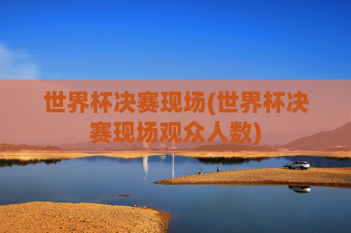 世界杯决赛现场(世界杯决赛现场观众人数)