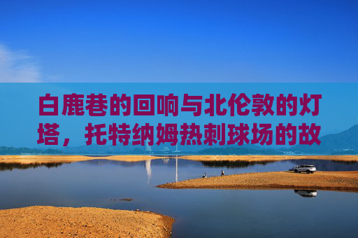 白鹿巷的回响与北伦敦的灯塔,托特纳姆热刺球场的故事,托特纳姆热刺球场,白鹿巷的回响与北伦敦的灯塔