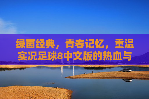 绿茵经典，青春记忆，重温实况足球8中文版的热血与热爱，实况足球8中文版，绿茵经典里的青春记忆与热血