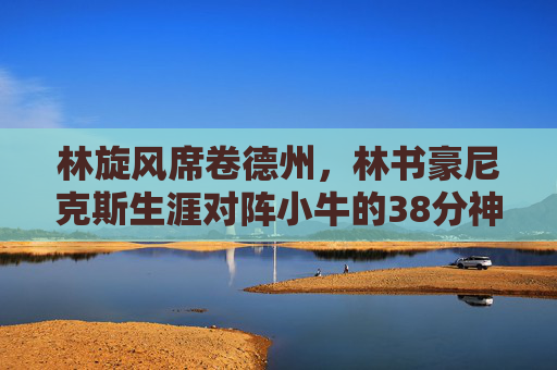 林旋风席卷德州,林书豪尼克斯生涯对阵小牛的38分神迹,林旋风席卷德州,林书豪尼克斯生涯对阵小牛38分神迹