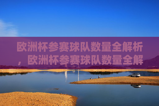 欧洲杯参赛球队数量全解析，欧洲杯参赛球队数量全解析