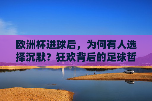 欧洲杯进球后,为何有人选择沉默?狂欢背后的足球哲学与人文思考,狂欢与沉默,欧洲杯进球背后的足球哲学与人文之思