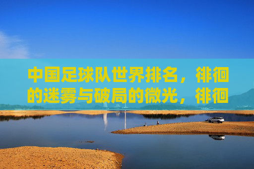 中国足球队世界排名，徘徊的迷雾与破局的微光，徘徊迷雾与破局微光，中国足球的世界排名之困与希望