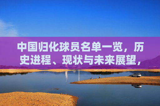 中国归化球员名单一览,历史进程、现状与未来展望,中国归化球员全景,名单、历史进程与未来展望