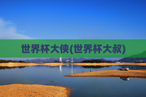 世界杯大侠(世界杯大叔)