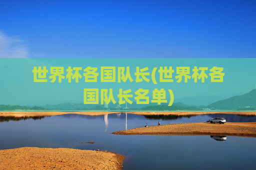 世界杯各国队长(世界杯各国队长名单)
