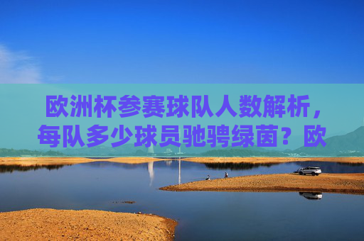 欧洲杯参赛球队人数解析,每队多少球员驰骋绿茵?欧洲杯每队球员人数解析
