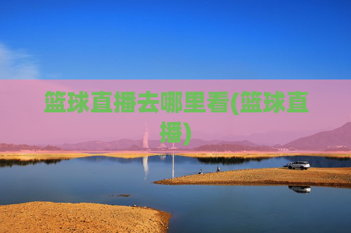 篮球直播去哪里看(篮球直播)
