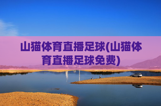 山猫体育直播足球(山猫体育直播足球免费)