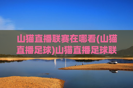 山猫直播联赛在哪看(山猫直播足球)山猫直播足球联赛观看指南
