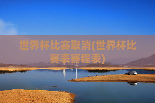 世界杯比赛取消(世界杯比赛表赛程表)