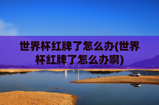 世界杯红牌了怎么办(世界杯红牌了怎么办啊)