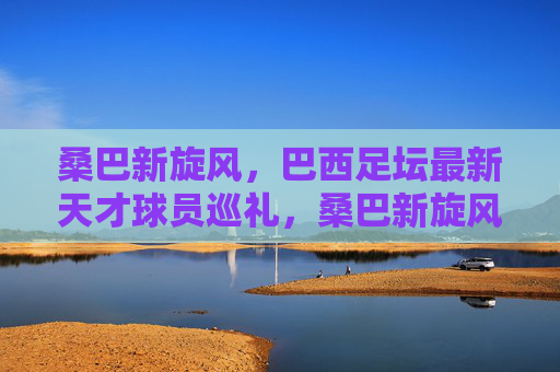 桑巴新旋风,巴西足坛最新天才球员巡礼,桑巴新旋风,巴西足坛最新天才球员巡礼