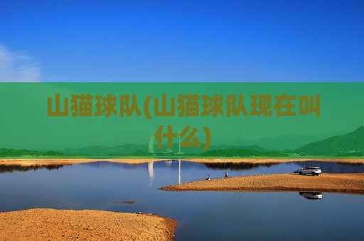 山猫球队(山猫球队现在叫什么)
