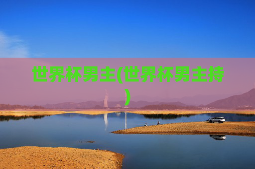 世界杯男主(世界杯男主持)