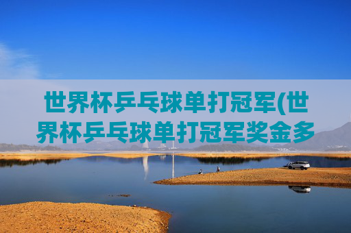 世界杯乒乓球单打冠军(世界杯乒乓球单打冠军奖金多少)