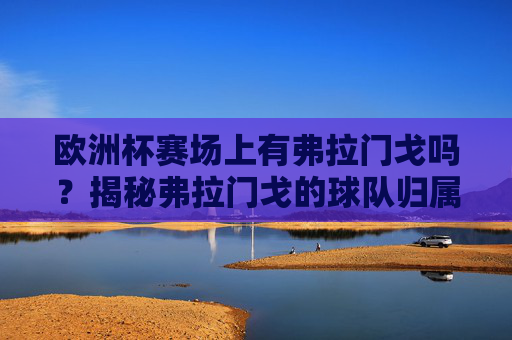 欧洲杯赛场上有弗拉门戈吗？揭秘弗拉门戈的球队归属，欧洲杯赛场上有弗拉门戈吗？揭秘其球队归属