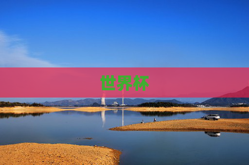 世界杯