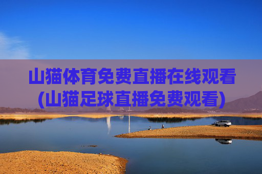 山猫体育免费直播在线观看(山猫足球直播免费观看)
