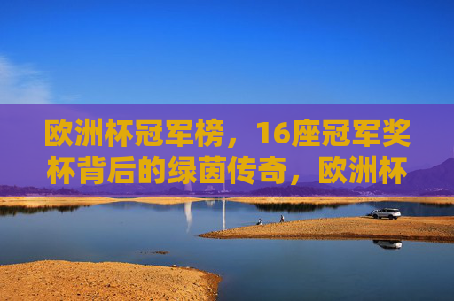 欧洲杯冠军榜,16座冠军奖杯背后的绿茵传奇,欧洲杯冠军榜,16冠铸就绿茵传奇