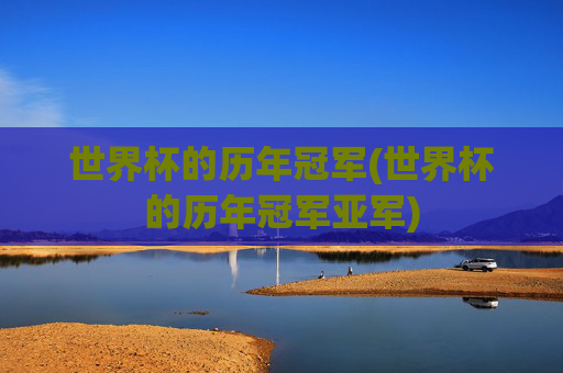 世界杯的历年冠军(世界杯的历年冠军亚军)