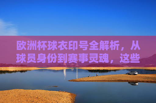 欧洲杯球衣印号全解析,从球员身份到赛事灵魂,这些标识缺一不可,欧洲杯球衣印号,从球员身份到赛事灵魂的不可或缺标识
